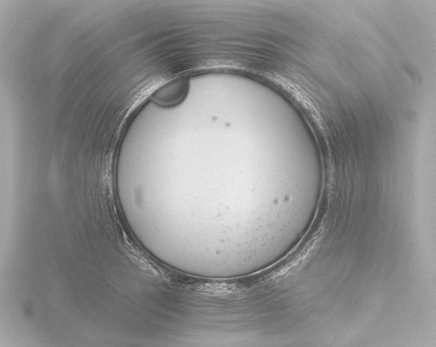 X0000116391137200912231104