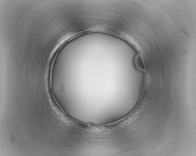 X0000116391138200912231104