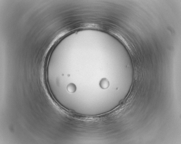 X0000116391139200912231104