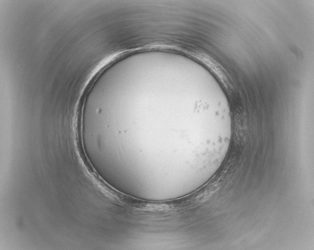 X0000116391142200912231104