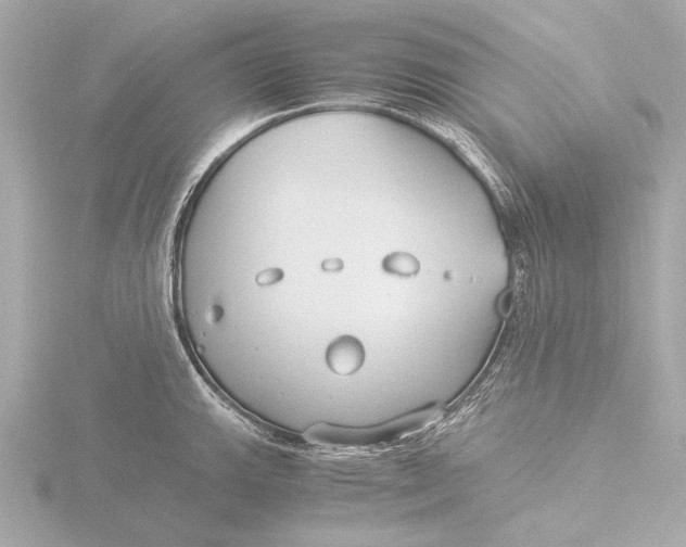 X0000116391143200912231104