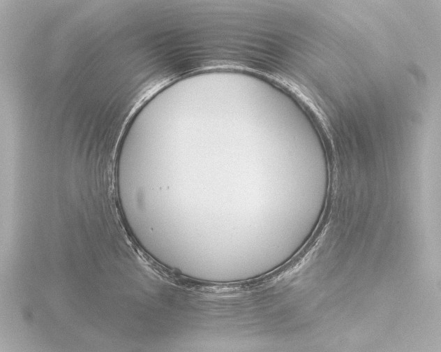 X0000116391145200912231104