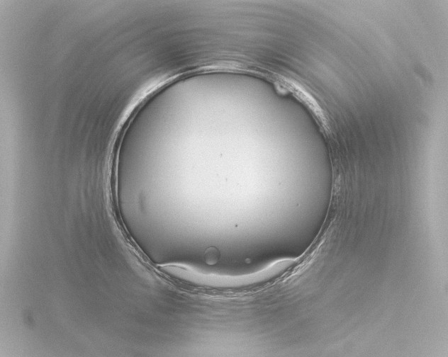 X0000116391146200912231104