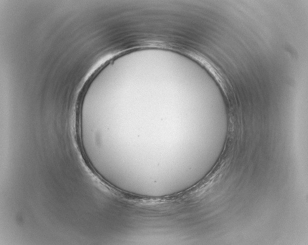 X0000116391147200912231104