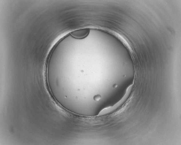 X0000116391149200912231104