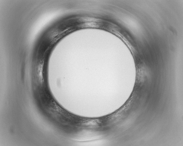 X0000116391150200912231104