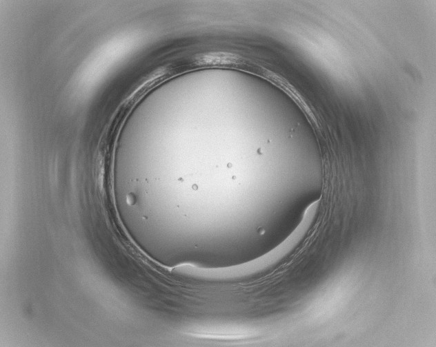 X0000116391151200912231104