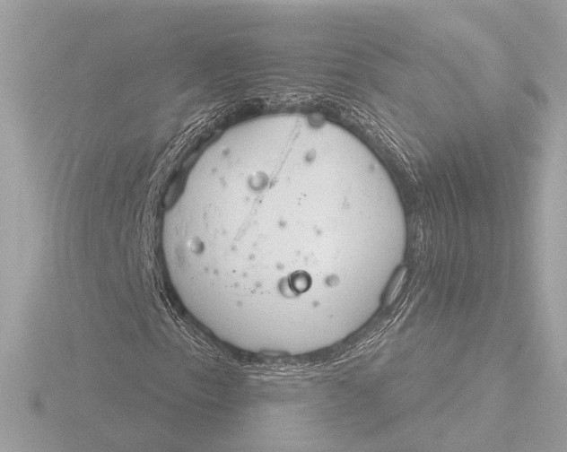 X0000116391153200912231104