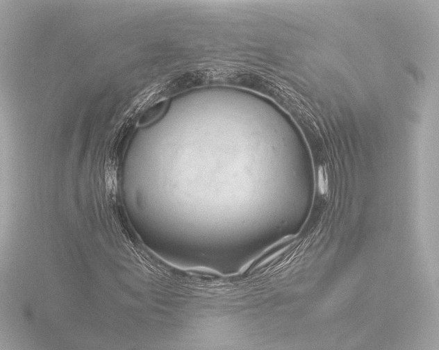 X0000116391155200912231104