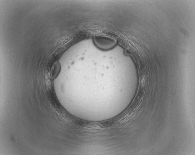 X0000116391156200912231104