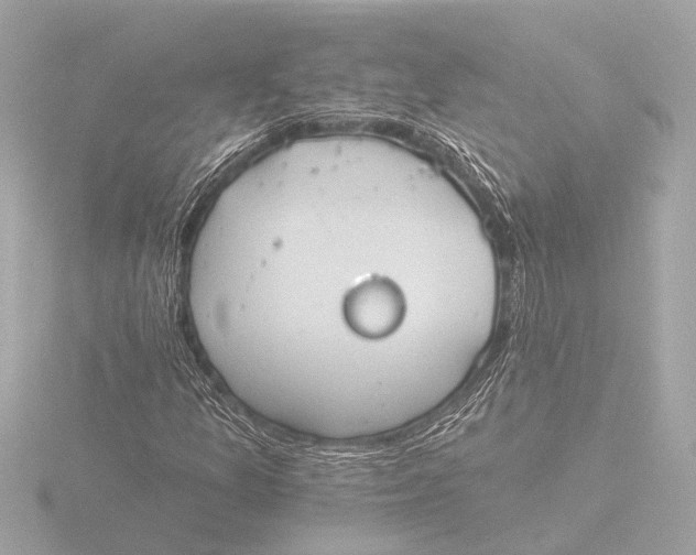 X0000116391157200912231104