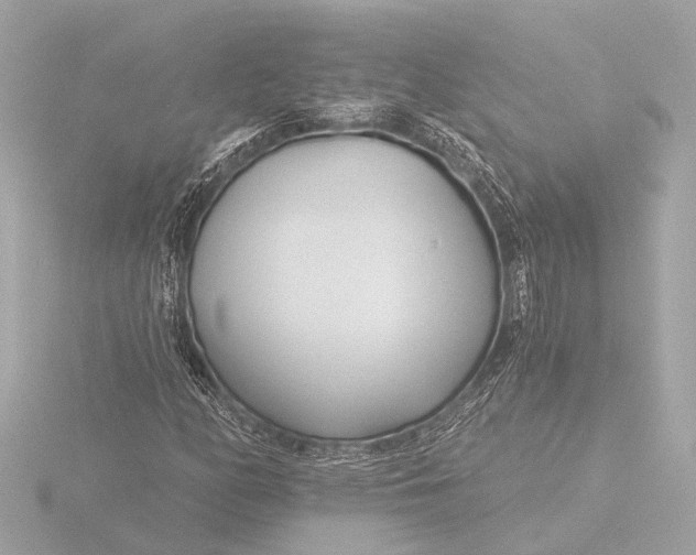 X0000116391158200912231104