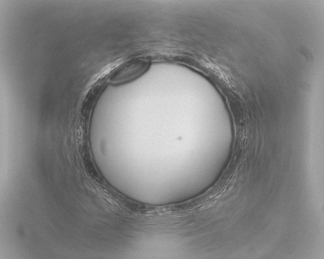 X0000116391159200912231104