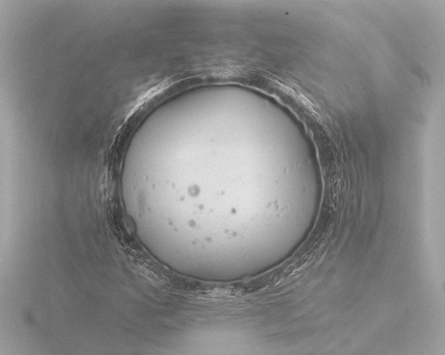 X0000116391160200912231104