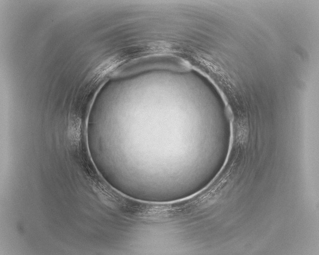 X0000116391161200912231104