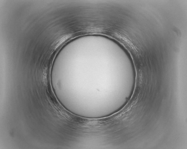 X0000116391162200912231104