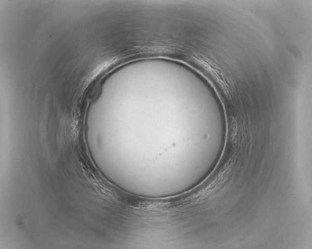 X0000116391163200912231104