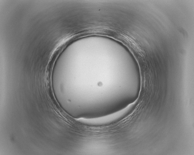 X0000116391164200912231104