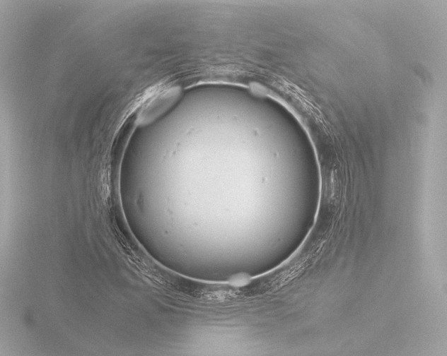 X0000116391165200912231104