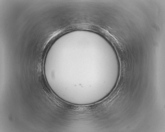 X0000116391166200912231103