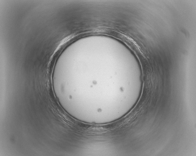 X0000116391168200912231103