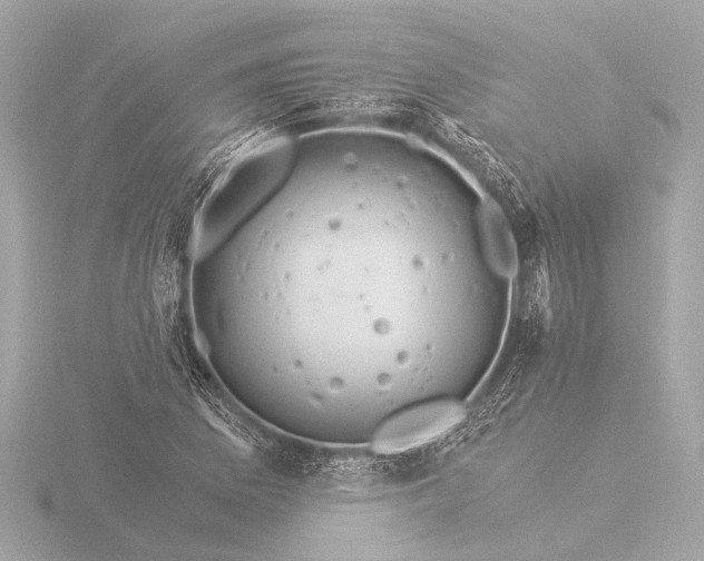 X0000116391169200912231103