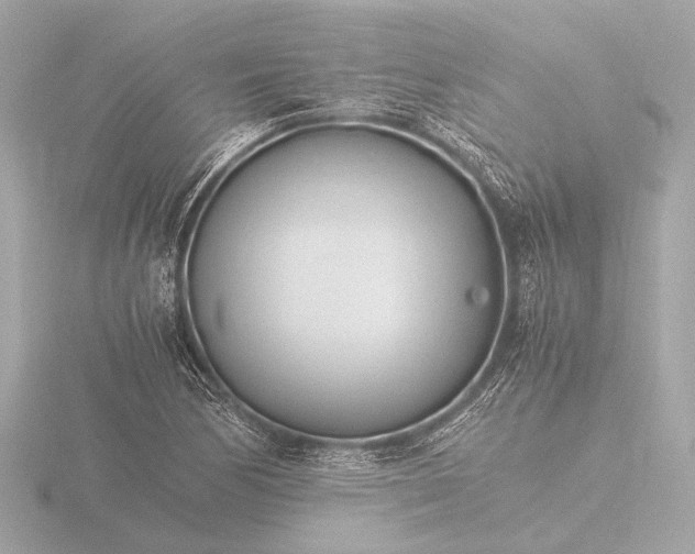 X0000116391170200912231103