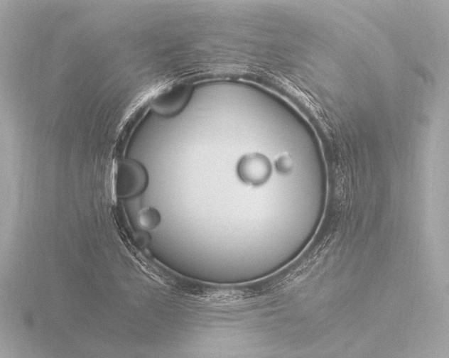 X0000116391171200912231103