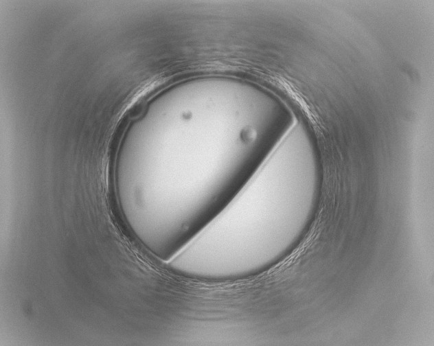 X0000116391173200912231103