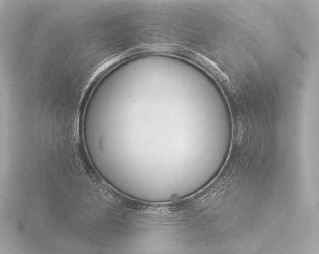 X0000116391174200912231103