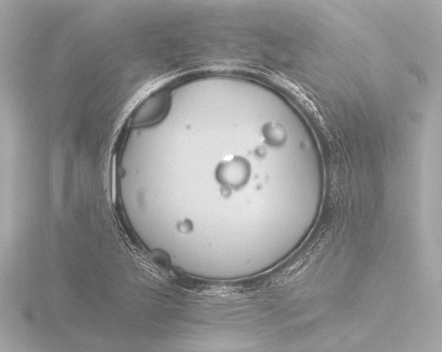 X0000116391175200912231103