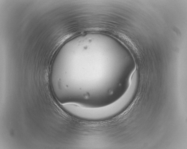 X0000116391177200912231103