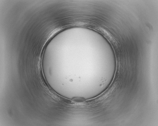 X0000116391178200912231103