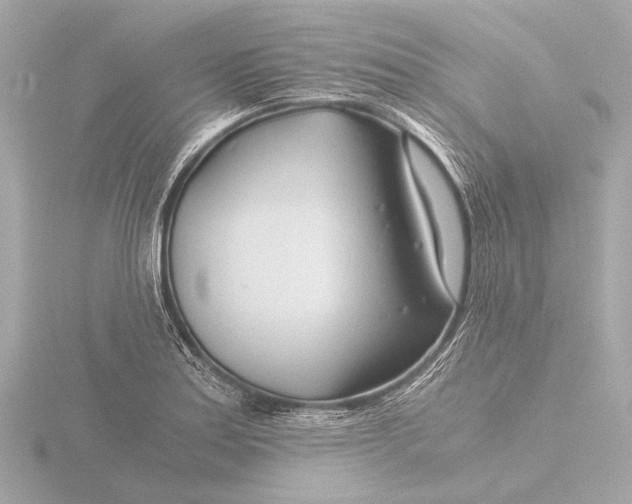 X0000116391179200912231103