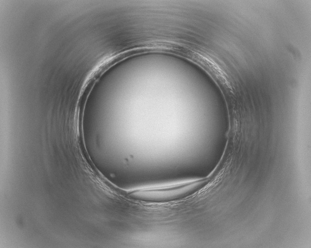 X0000116391180200912231103