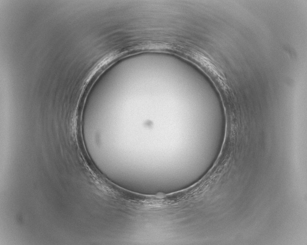 X0000116391181200912231103