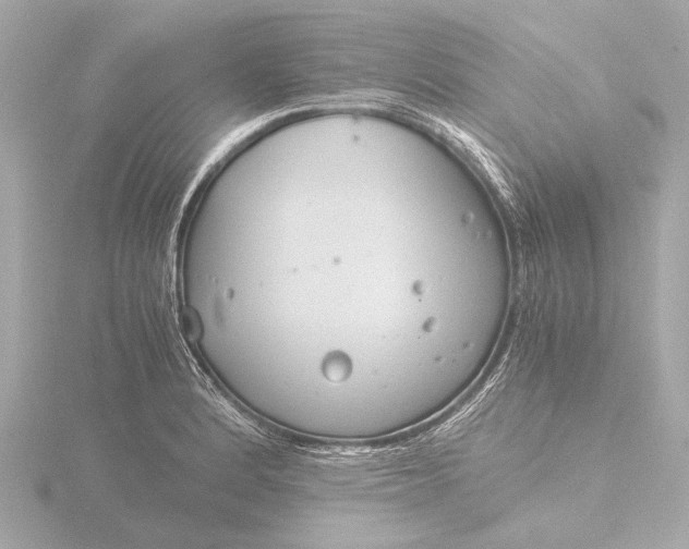 X0000116391184200912231103