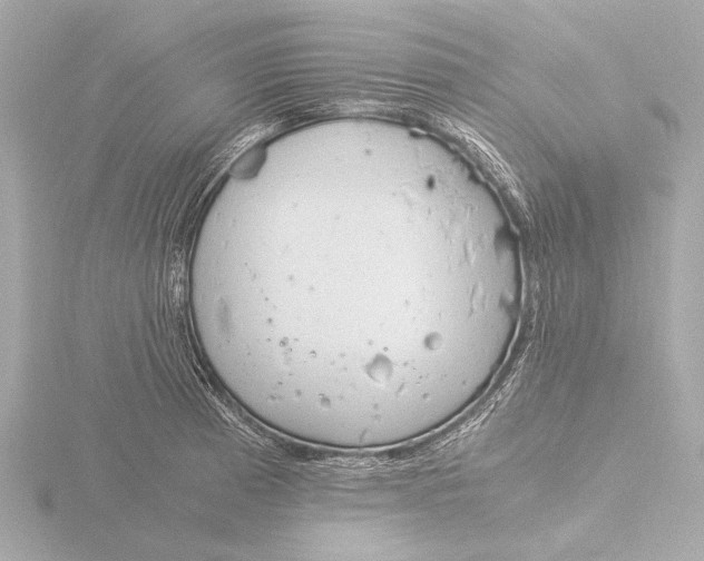 X0000116391185200912231103