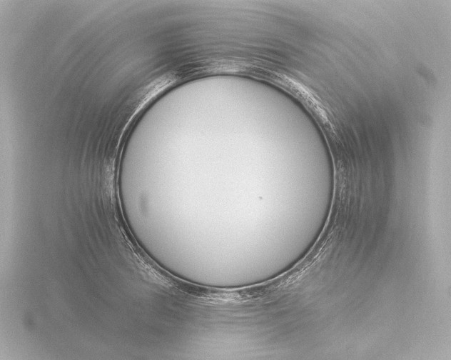 X0000116391186200912231103