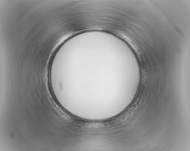 X0000116391187200912231103