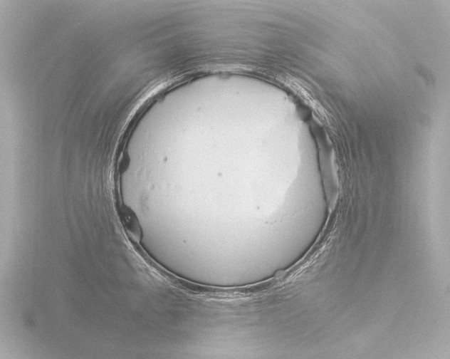 X0000116391189200912231103