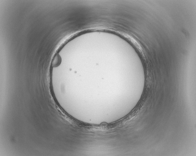 X0000116391191200912231103