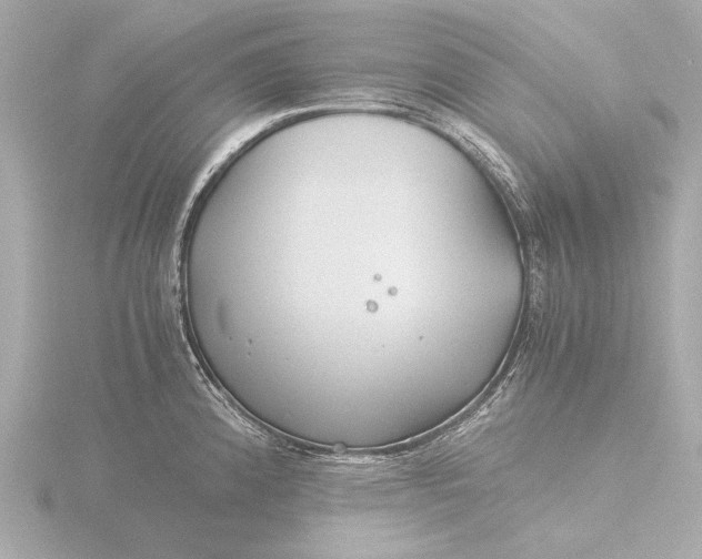 X0000116391192200912231103