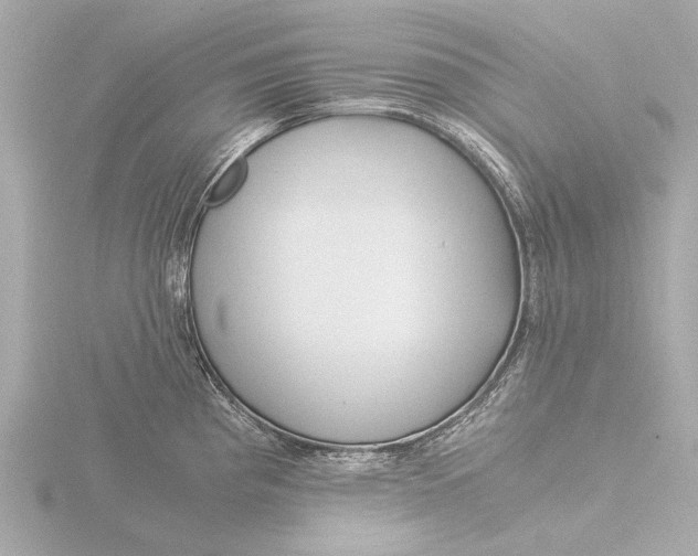 X0000116391193200912231103