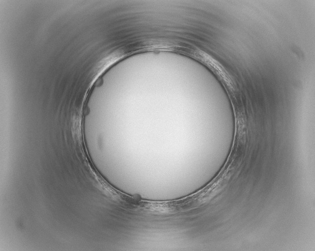 X0000116391194200912231103