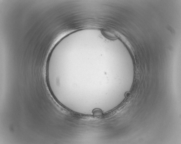 X0000116391195200912231103