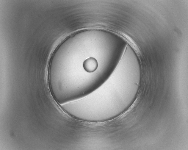 X0000116391196200912231103