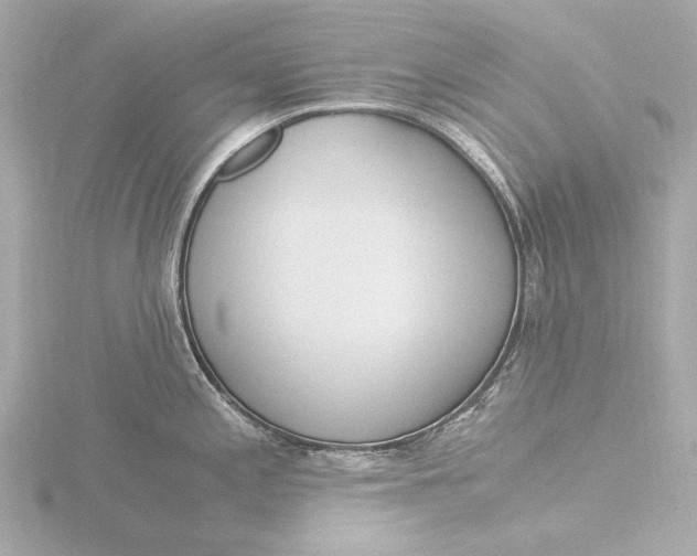 X0000116391197200912231103