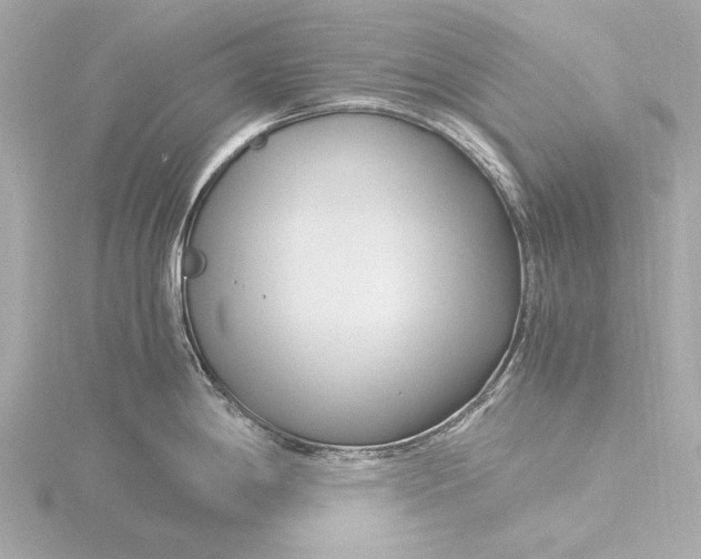 X0000116391198200912231103