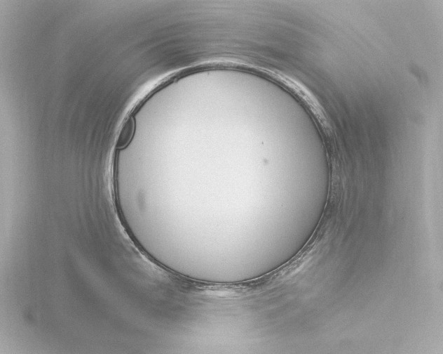 X0000116391199200912231103